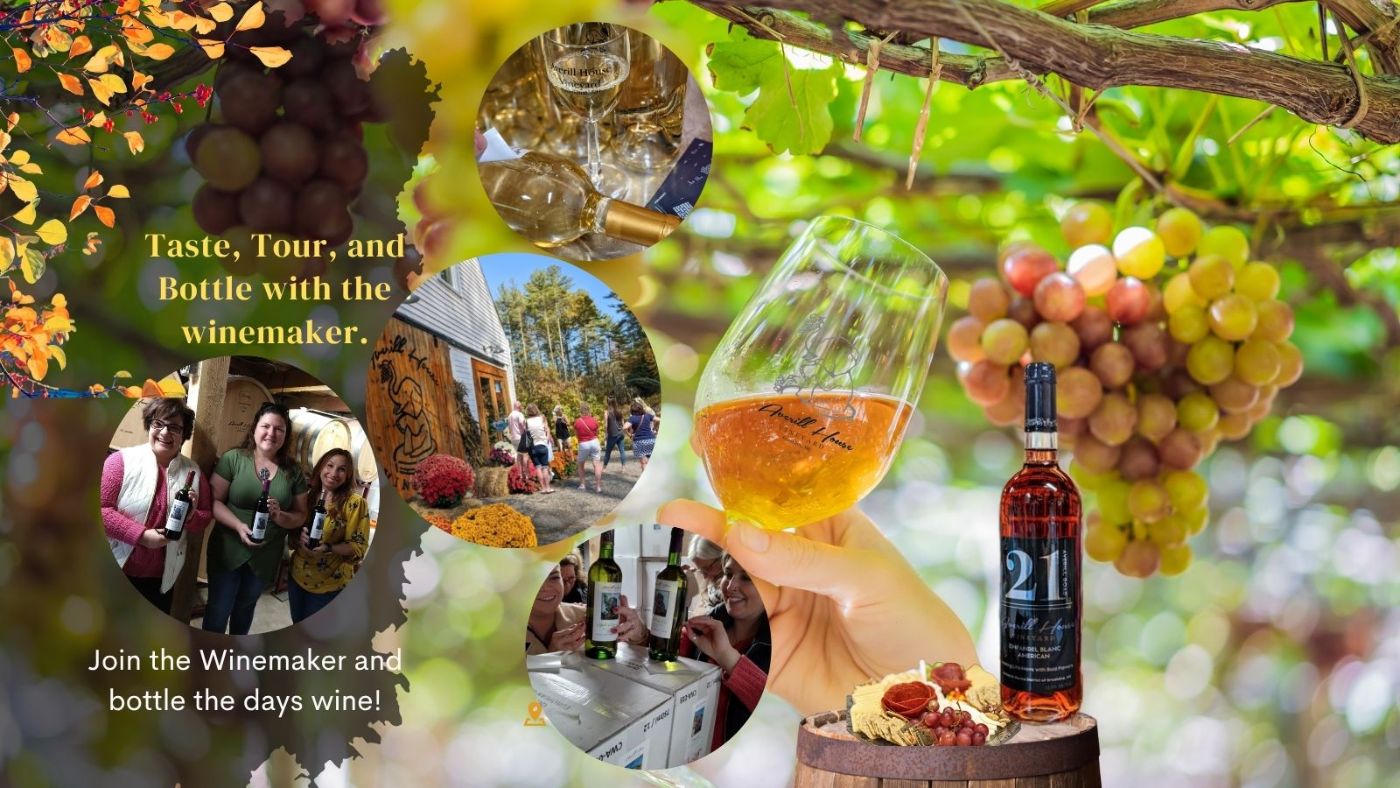 Featured image for Averill House Vineyard