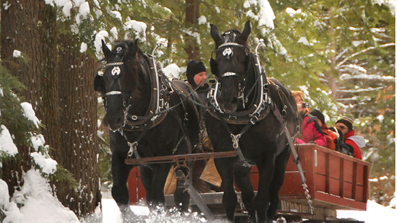 Featured image for Charmingfare Farm