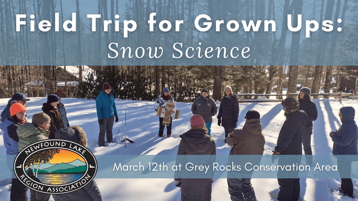 Featured image for Newfound Lake Region Association