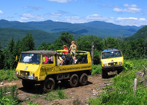 Off-Road Safari