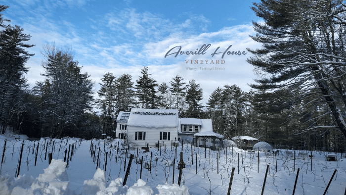 Additional image for Averill House Vineyard